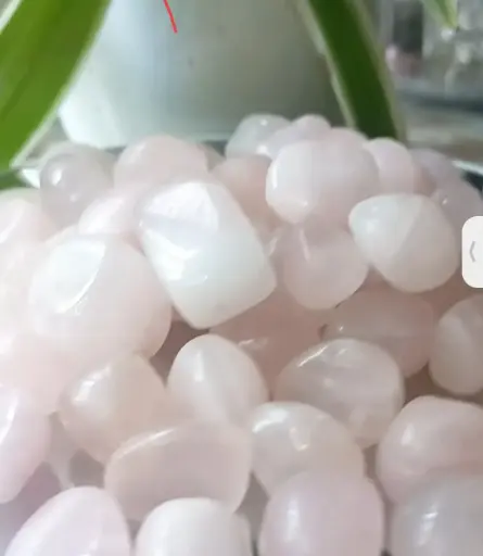Rose Quartz Tumbles